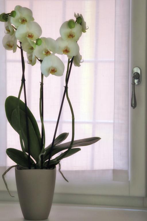 Boutique Apartments Verona Bagian luar foto